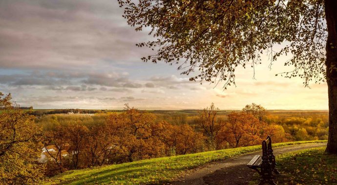 Un automne dans le Montreuillois