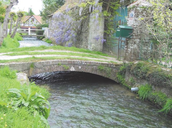 Le Witrepin ou Huitrepin