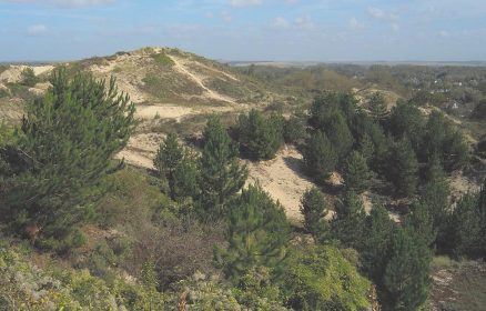 Sentier des dunes