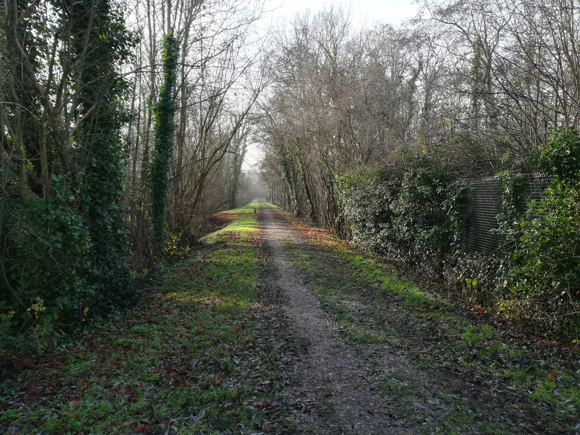 La boucle du Petit Marais