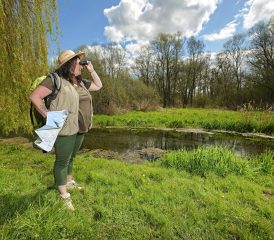Randonnées en Montreuillois