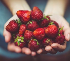 Les producteurs locaux