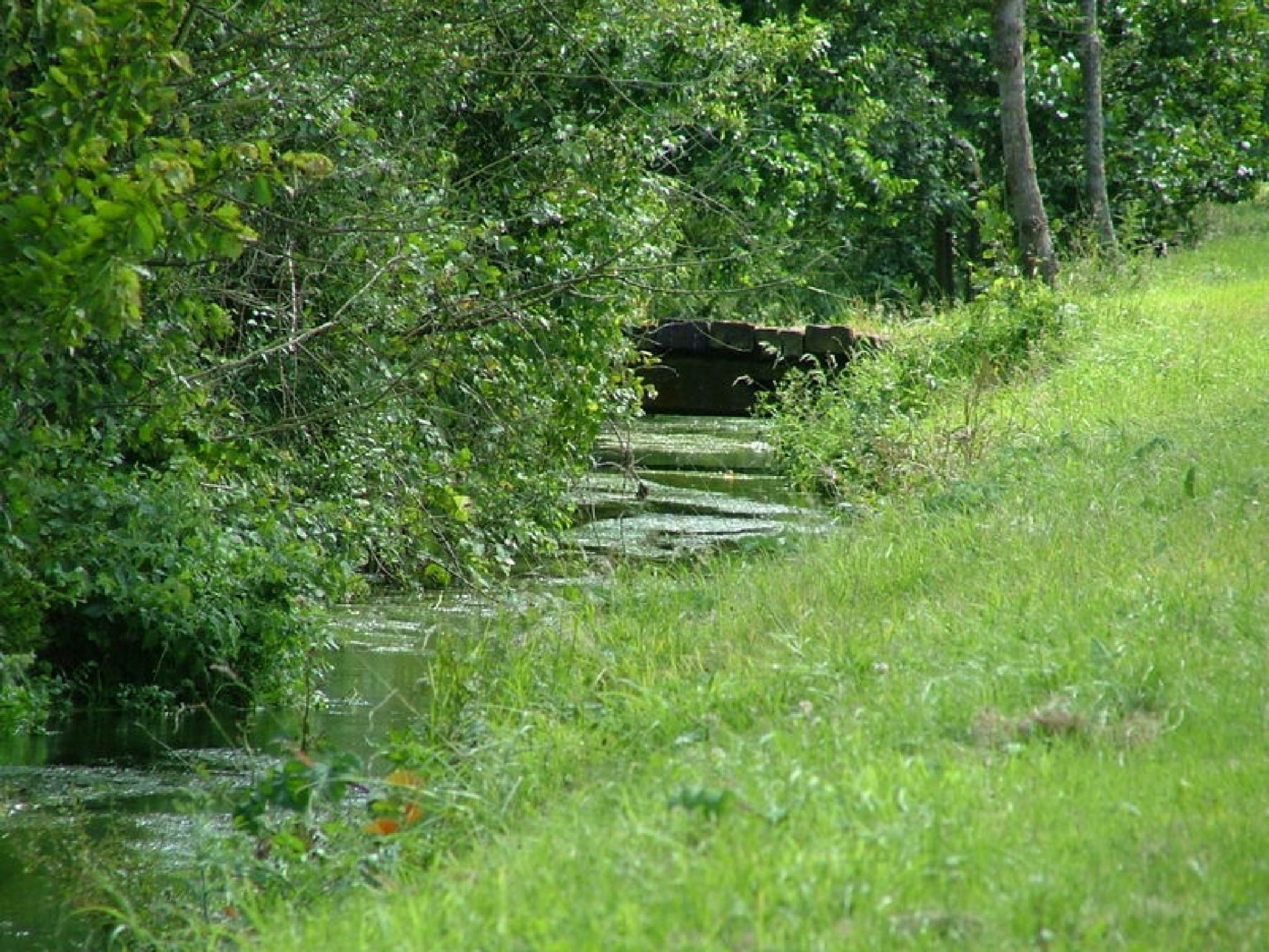 Les Hauts de Tubersent