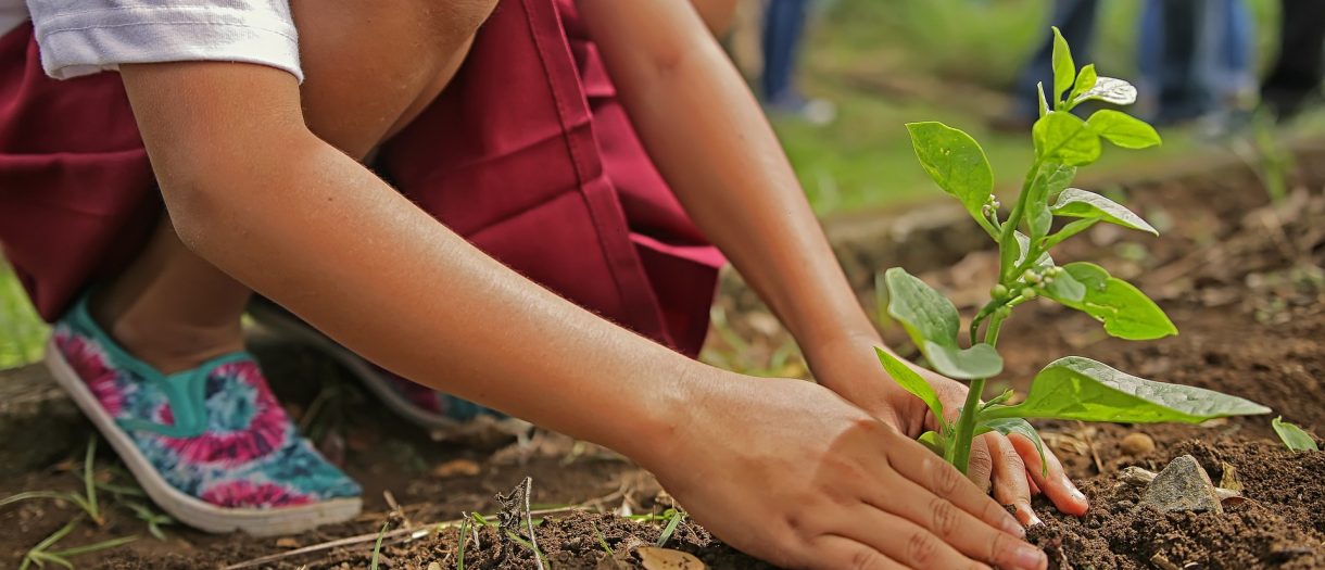 Les professionnels engagés