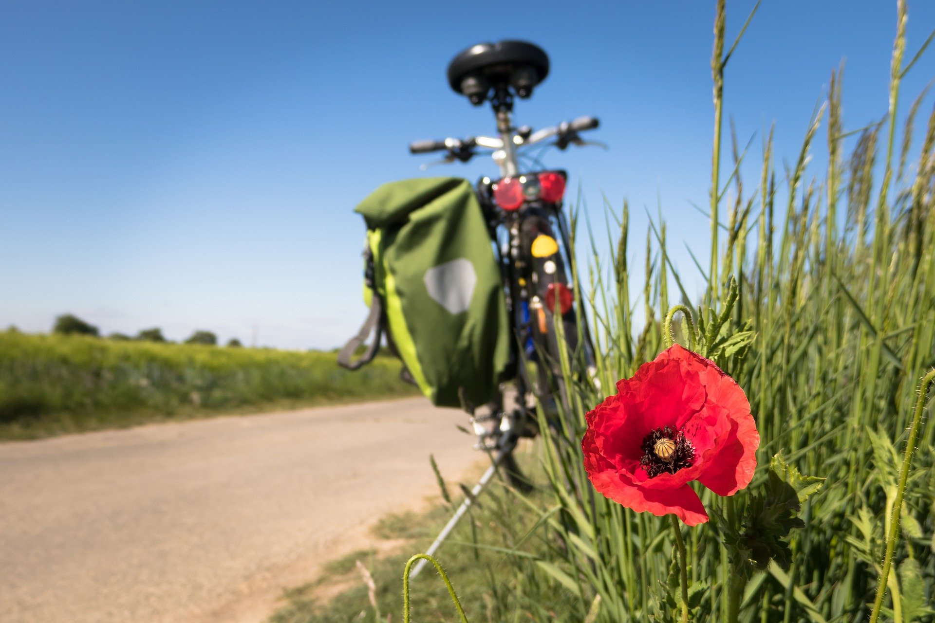 VTT Nord (Recques) – Jaune
