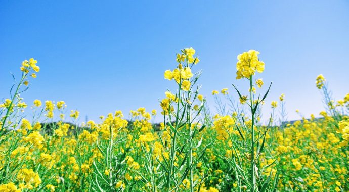 Notre région a du talent