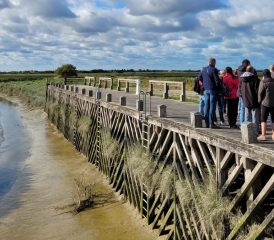 Le Tour de Groffliers