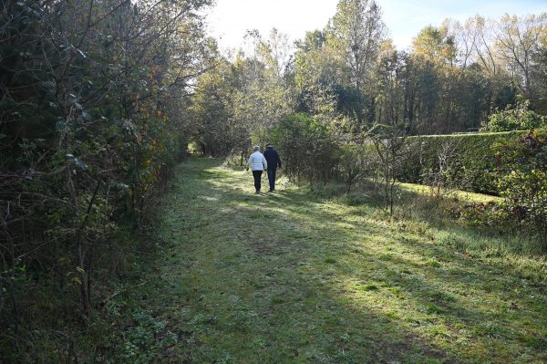 l’Allée des Roses
