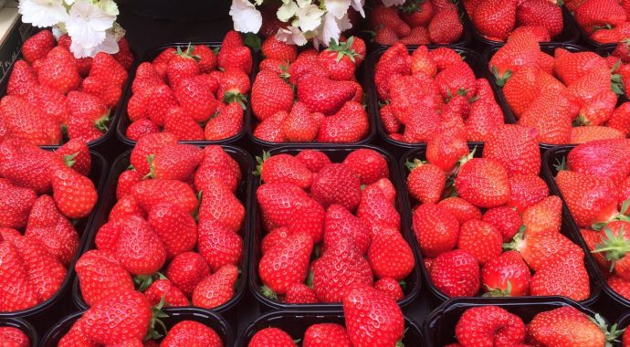 Ramène ta fraise à Montéchor !