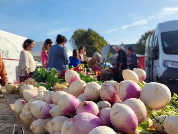 March(é)s à l’ombre !
