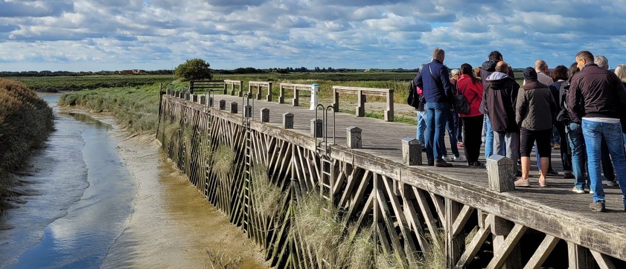 Activités et loisirs