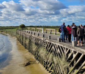 Activités et loisirs