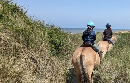 De la Baie d’Authie à l’arrière Pays