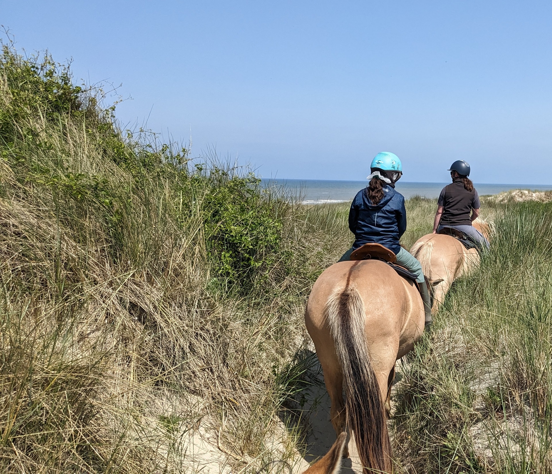 De la Baie d’Authie à l’arrière Pays