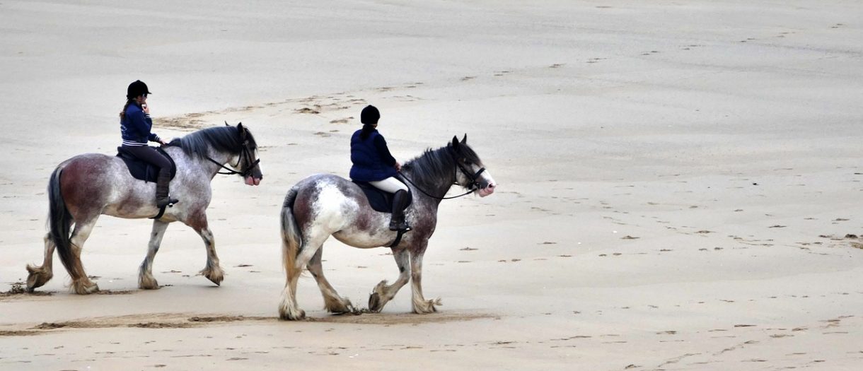 Les randonnées équestres