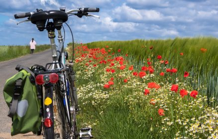 Eurovélo 4- La vélo maritime