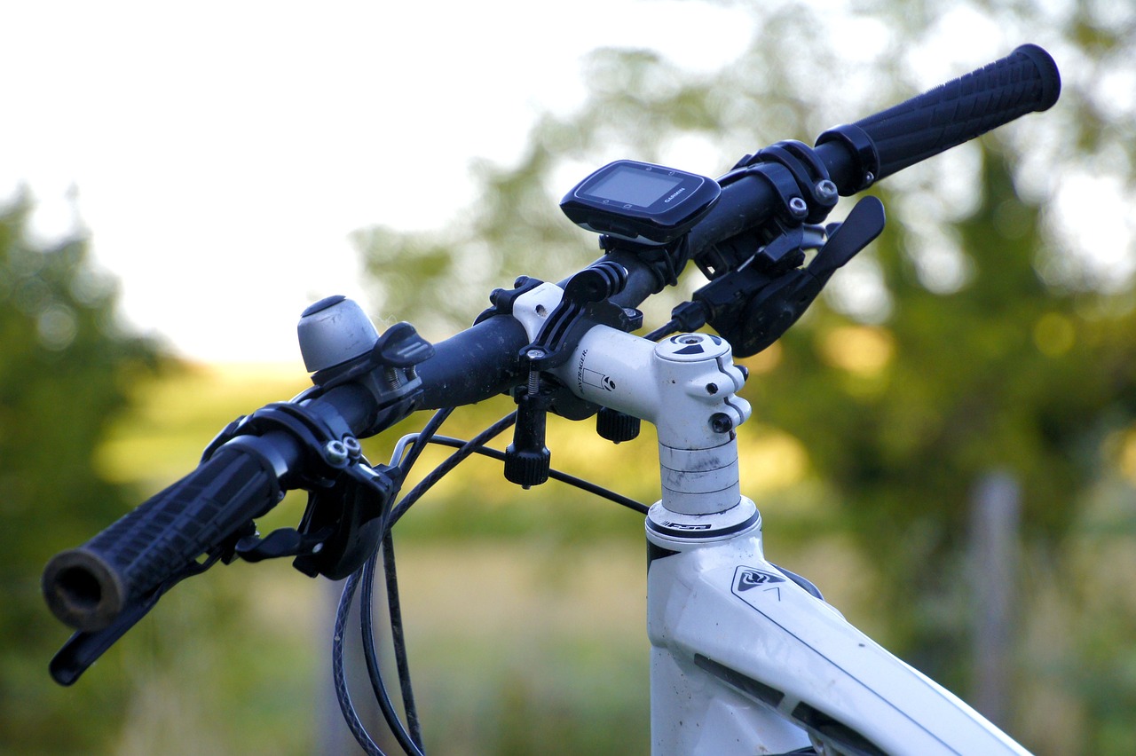 VTT Sud Est – Vert