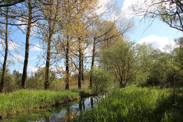 Le Marais de Tigny-Noyelle