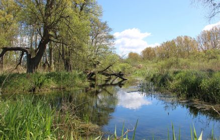 La Boucle des Marais