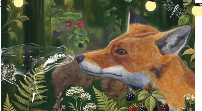 Festival de la Biodiversité : dans la Vallée de la Course et ses affluents