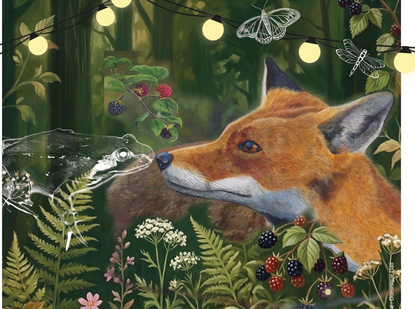 Festival de la Biodiversité : dans la Vallée de la Course et ses affluents