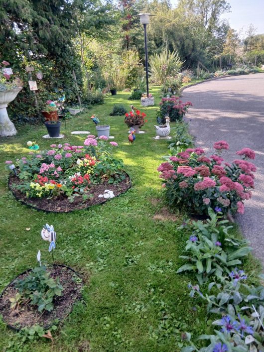 2026-jardin-gites-au-dela-des-remparts-montreuil-sur-mer-au-dela-des-remparts