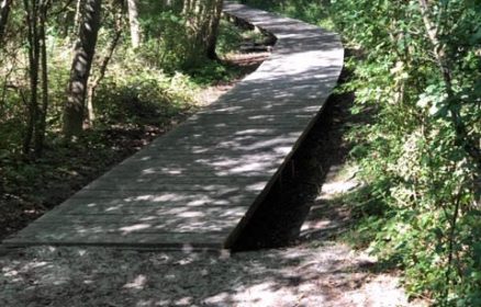 Sentier Des Fauvettes par Merlimont