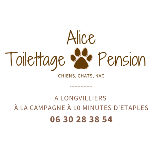 alice-toilettage-et-pension-longvilliers