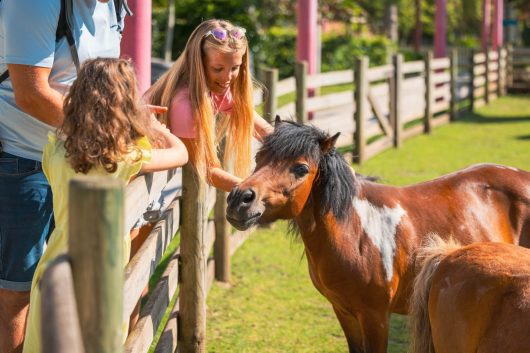 bagatelle-2025-elisa-marq-photography-15