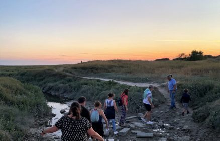 La Baie d&rsquo;Authie, l&rsquo;histoire au naturel : visite guidée