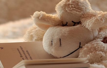 Bébés lecteurs : Spécial Nouveautés !