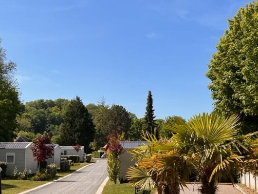 blanc-pignon-allee