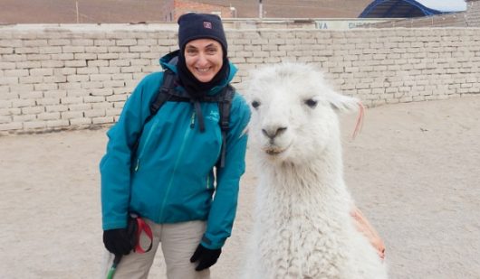 bolivie-40-jours-d-aventures-campagne-et-choco-beutin