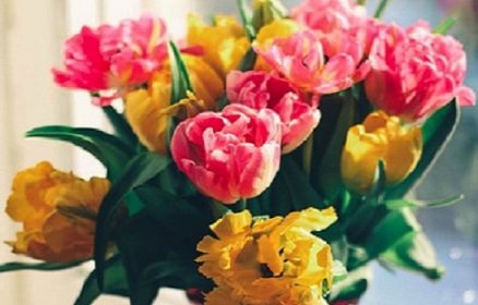 Atelier ‘Ma Touche d’Art Floral’