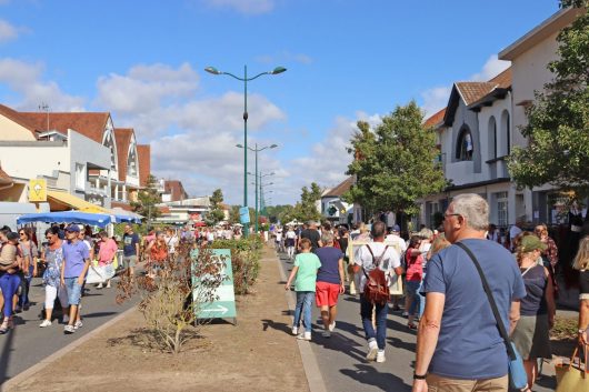 braderie-de-stella-plage