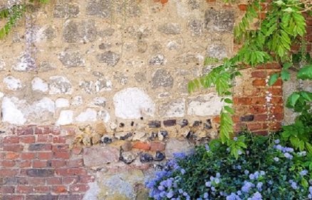 Atelier : Fabrique ta Brique à Ecuires