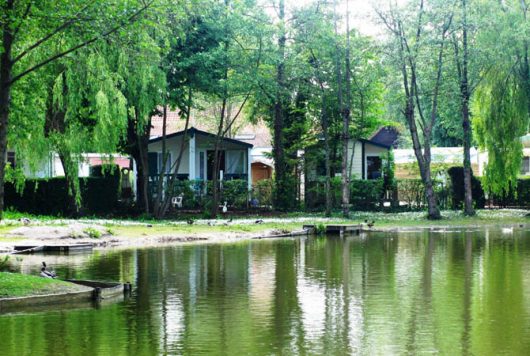 camping-tourterelles-02