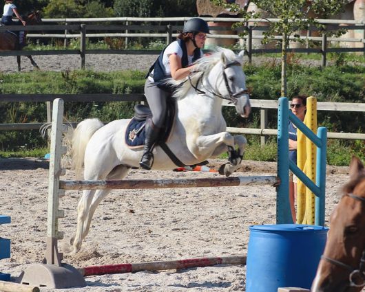 centre-equestre-du-pays-de-montreuil-03