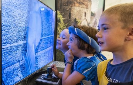 Découverte des Chauves-Souris