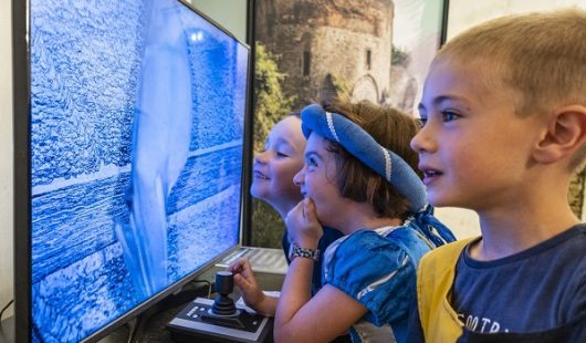 chauves-souris-benoit-bremer-ban-copie