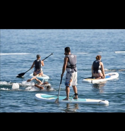 cns-paddle