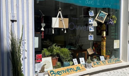 comme-un-poisson-dans-la-lune-ban-1