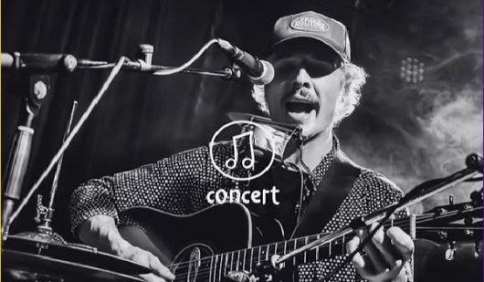 concert-matt-van-t