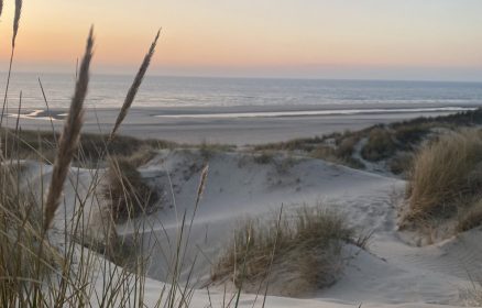 Stella-Plage, une Station Balnéaire au Cœur de la Nature