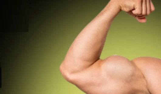 cross-training-fit-style-ban