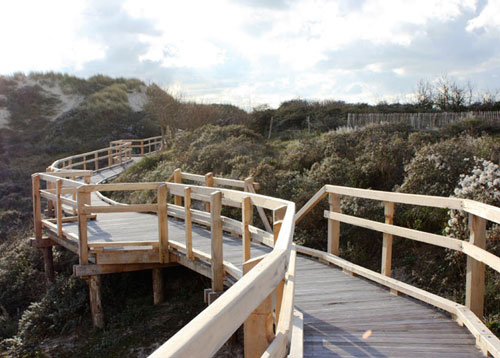 Sentier Découverte De La Dune Parabolique