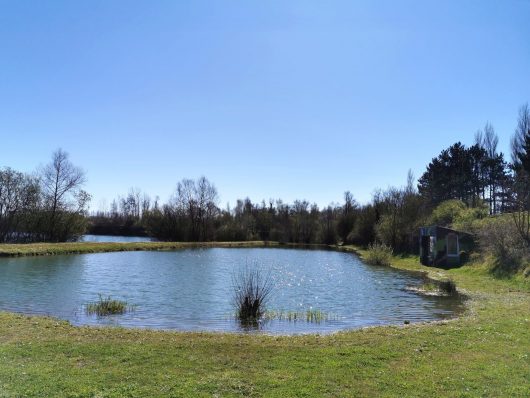 domaine-de-waben-etang