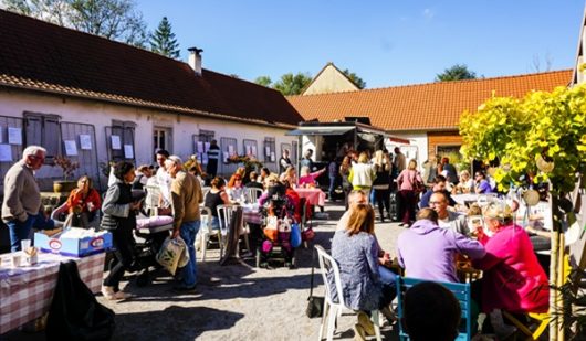 dr-les-bobos-a-la-ferme-ban