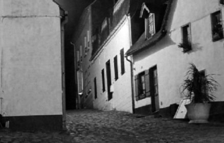 Exposition de Jean-Louis Saelens