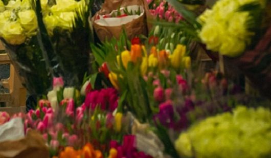 fleurs-1